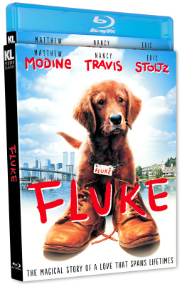 Fluke